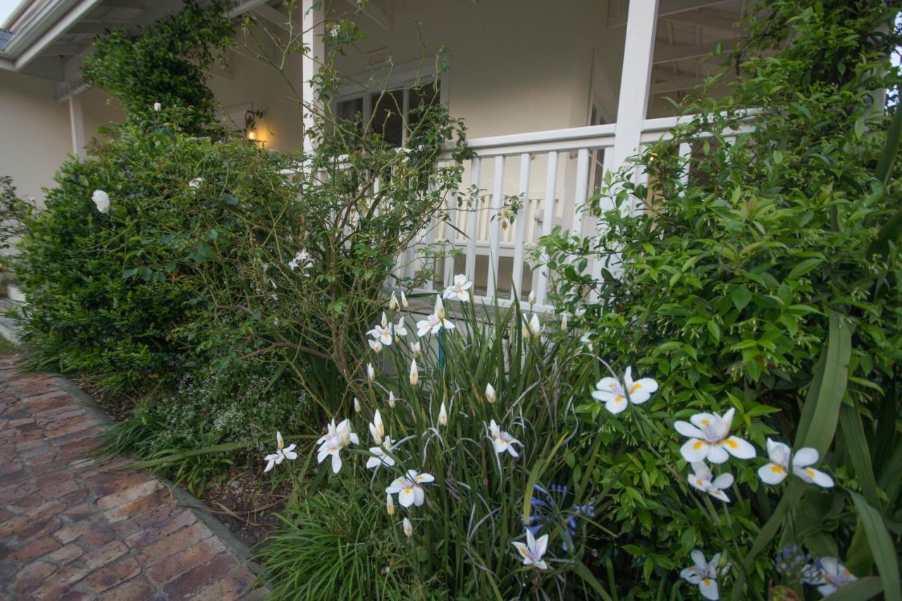 The Summer House Plettenberg Bay Extérieur photo
